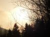photo001.jpg