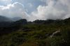 20080828_dsc_0016.jpg