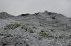 20080828_dsc_0038.jpg