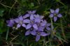 20080828_dsc_0043.jpg