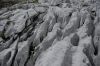 20080828_dsc_0047.jpg