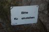 20080831_dsc_0036.jpg