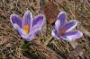 photo015.jpg
