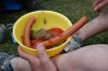 056_20090708_185737_dsc_0387_marbuel.jpg