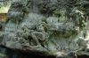 20100819_150849_dsc_0517_marbuel.jpg