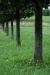 20100819_162407_dsc_0555_marbuel.jpg