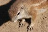 20100821_093836_dsc_0601_marbuel.jpg