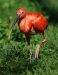 20100821_102619_dsc_0648_marbuelb.jpg