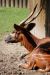 20100821_103257_dsc_0654_marbuel.jpg