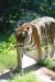 20100821_103647_dsc_0658_marbuel.jpg