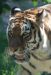 20100821_103717_dsc_0660_marbuelb.jpg