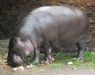 20100821_104441_dsc_0670_marbuelb.jpg