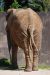 20100821_104823_dsc_0680_marbuel.jpg