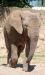 20100821_105231_dsc_0688_marbuelb.jpg