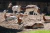 20100821_105840_dsc_0710_marbuel.jpg