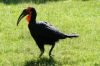 20100821_115426_dsc_0770_marbuel.jpg