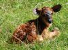 20100821_120418_dsc_0795_marbuelb.jpg