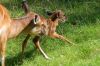 20100821_120445_dsc_0801_marbuel.jpg