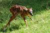 20100821_120530_dsc_0817_marbuel.jpg