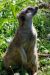 20100821_122609_dsc_0844_marbuel.jpg