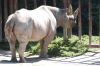 20100821_123718_dsc_0862_marbuel.jpg