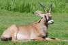 20100821_124234_dsc_0870_marbuel.jpg