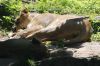 20100821_134042_dsc_0915_marbuel.jpg