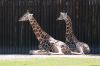 20100821_143605_dsc_0950_marbuel.jpg