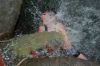 088_20100728_174502_dsc_0504_marbuel.jpg