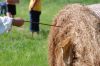 171_20100801_162912_dsc_0905_marbuel.jpg
