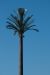 20130130_111551_DSC_0066_marbuel.jpg