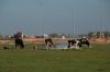 20130205_125408_DSC_0587_marbuel.jpg